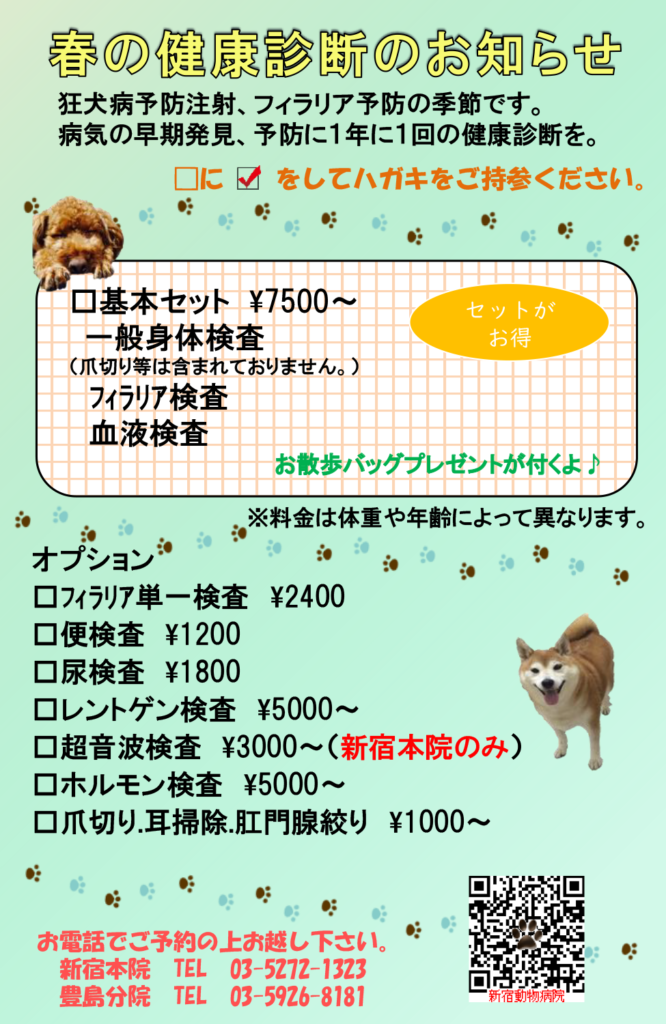 春のワンちゃん健康診断のお知らせ 新宿動物病院