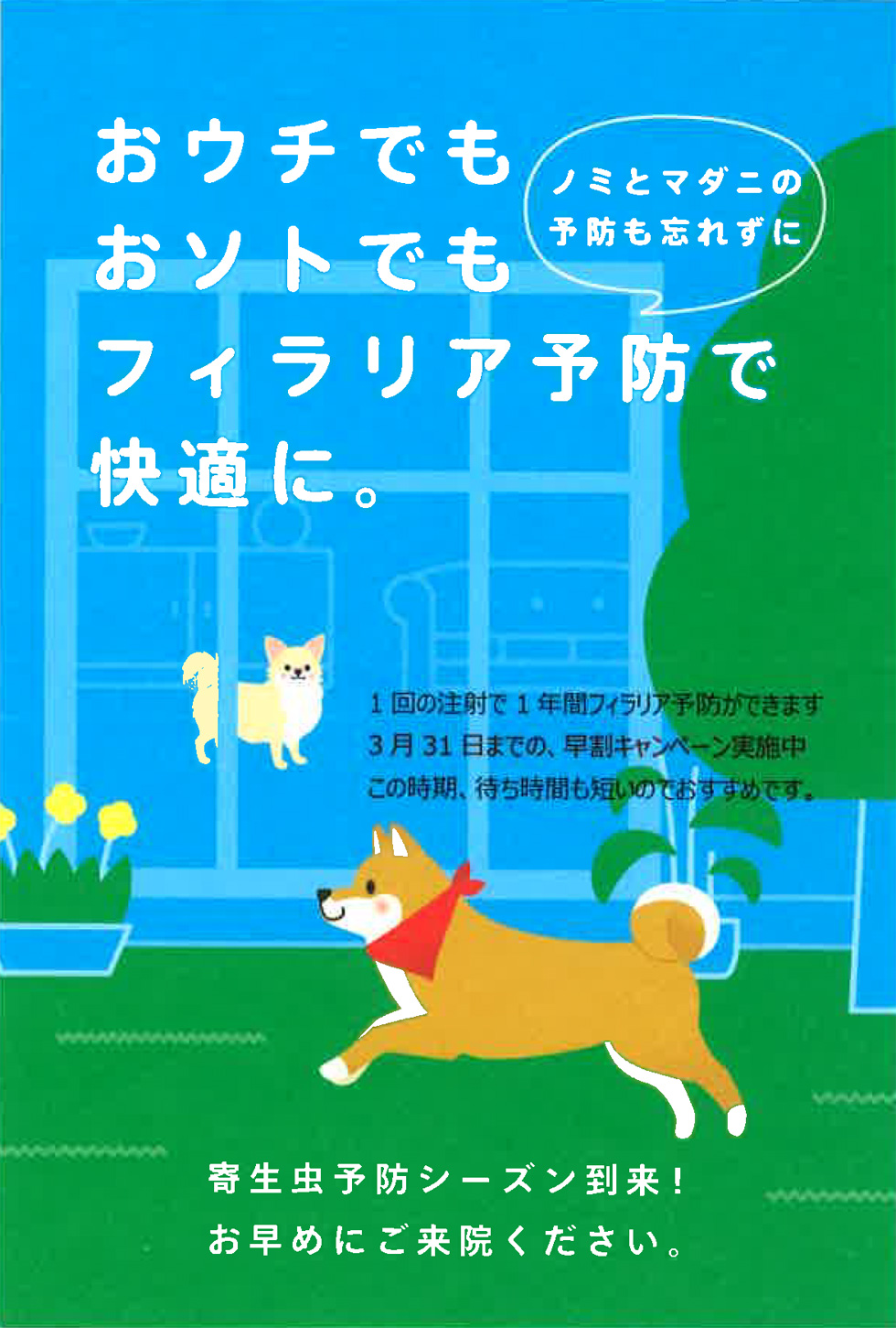 フィラリア予防注射開始のお知らせ 新宿動物病院